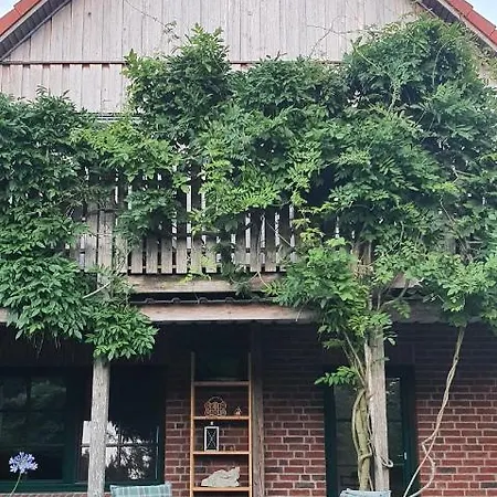 Wybo Mit Garten Apartamento *