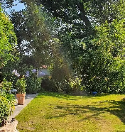 Apartamento Wybo Mit Garten *