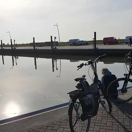 Apartamento Wybo Mit Garten